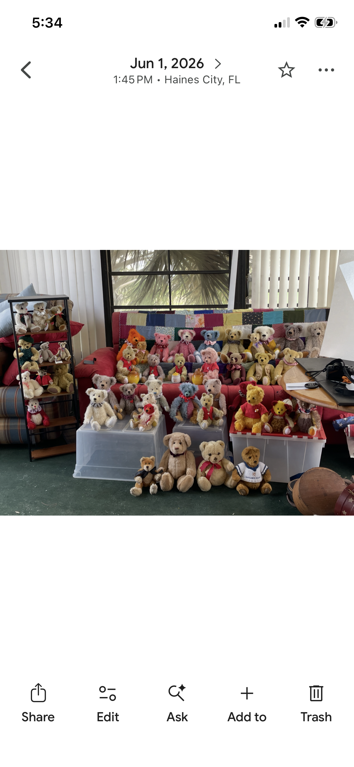 A large collection of Jay's handmade bears arranged together